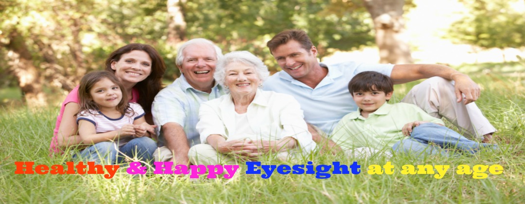 WORKSHOP for All Ages - Natural Vision Improvement, 10:00am-5:00pm, May 20, 2017. Crystal Lake, IL