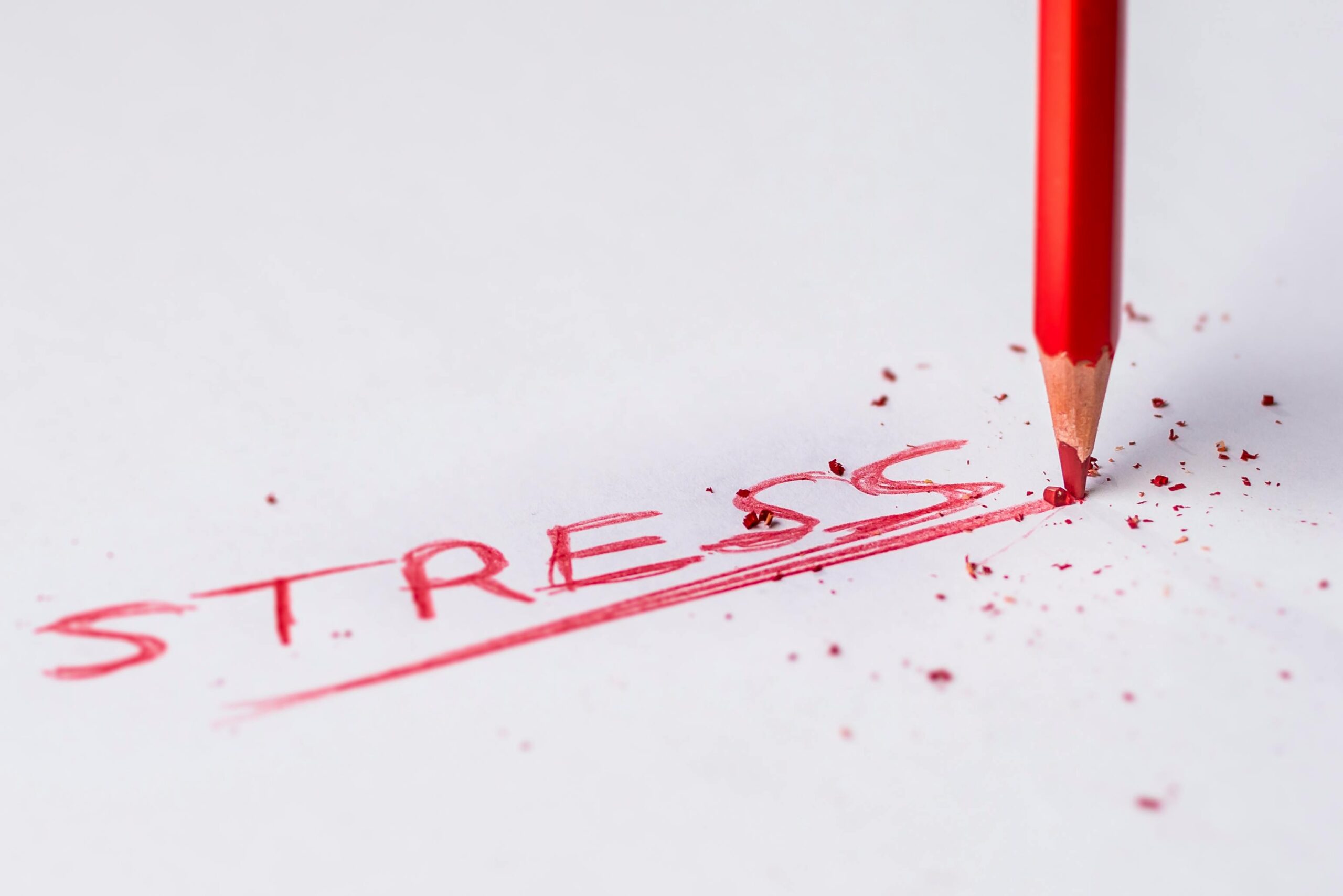 SEMINAR - How Stress Affects Your Vision and Suggested Daily Habits, Sept 23, 2016 Chicago, IL